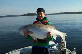 Alex holding 42 lb striper, Alex fished with Norfork lake guide service STR Outfitters