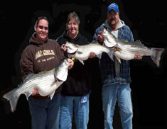 lake norfork arkansas ozarks stripers Striper fishing lake norfork stripers Lake Norfork White River Norfork River North Fork Deer Turkey Trout trout browns rainbows cutthroat walleye bucks snow geese Ducks Snowgeese Walleye Hunting  Mallard Ducks Snow Goose Geese turkey Waterfowl  hunt shooting timber hunts hunting duck geese goose waterfowl arkansas mallard canada geese canada goose pintail widgeon specklebelly blue goose deer turkey hunting guides fishing guide service fishing fish guides Ozarks Ozark Mountains walleye hybrids hybrid striper largemouth bass smallmouth bass bass fly fishing  shad  catch and release catch & release