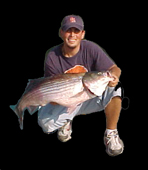 Sean with a 28 lb striper caught with Lake Norfork Striper guide