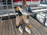 Harry with his limit of stripers he caught them with Tom Reynolds Norfork stripers & STR Outfitters