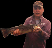 lake norfork arkansas ozarks stripers Striper fishing lake norfork stripers Lake Norfork White River Norfork River North Fork Deer Turkey Trout trout browns rainbows cutthroat walleye bucks snow geese Ducks Snowgeese Walleye Hunting  Mallard Ducks Snow Goose Geese turkey Waterfowl  hunt shooting timber hunts hunting duck geese goose waterfowl arkansas mallard canada geese canada goose pintail widgeon specklebelly blue goose deer turkey hunting guides fishing guide service fishing fish guides Ozarks Ozark Mountains walleye hybrids hybrid striper largemouth bass smallmouth bass bass fly fishing  shad  catch and release catch & release 