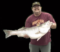 lake norfork arkansas ozarks stripers Striper fishing lake norfork stripers Lake Norfork White River Norfork River North Fork Deer Turkey Trout trout browns rainbows cutthroat walleye bucks snow geese Ducks Snowgeese Walleye Hunting  Mallard Ducks Snow Goose Geese turkey Waterfowl  hunt shooting timber hunts hunting duck geese goose waterfowl arkansas mallard canada geese canada goose pintail widgeon specklebelly blue goose deer turkey hunting guides fishing guide service fishing fish guides Ozarks Ozark Mountains walleye hybrids hybrid striper largemouth bass smallmouth bass bass fly fishing  shad  catch and release catch & release 