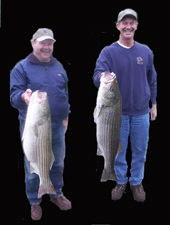 lake norfork arkansas ozarks stripers Striper fishing lake norfork stripers Lake Norfork White River Norfork River North Fork Deer Turkey Trout trout browns rainbows cutthroat walleye bucks snow geese Ducks Snowgeese Walleye Hunting  Mallard Ducks Snow Goose Geese turkey Waterfowl  hunt shooting timber hunts hunting duck geese goose waterfowl arkansas mallard canada geese canada goose pintail widgeon specklebelly blue goose deer turkey hunting guides fishing guide service fishing fish guides Ozarks Ozark Mountains walleye hybrids hybrid striper largemouth bass smallmouth bass bass fly fishing  shad  catch and release catch & release 