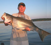 Tom Reynolds guide on Lake Norfork Arkansas